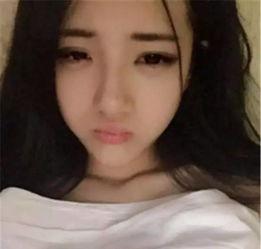 东北爆料女主播视频大全,揭秘网络直播界的风云人物